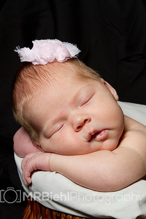 Newborn Portrait