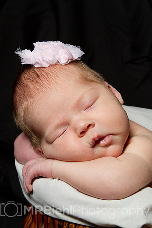 Newborn Portrait