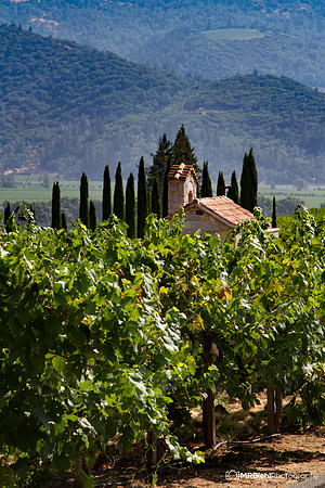 Napa-052- MRBiehl