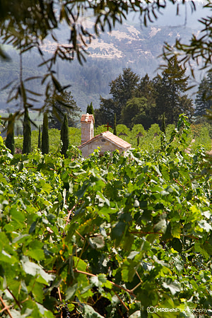 Napa-108- MRBiehl