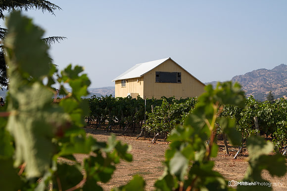Napa-302- MRBiehl
