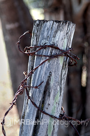 Twisted - Bandera Tx-0222