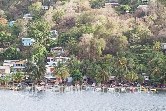 St Lucia-2079