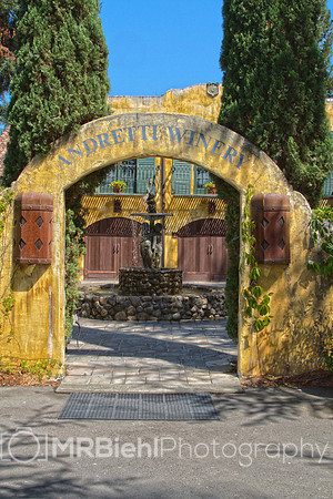 Napa-3904-8-20140809-Andretti