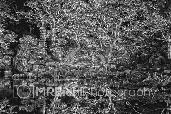 Evening enchantment-20120414-untitled