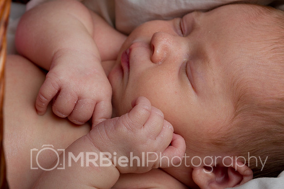 Newborn Portrait