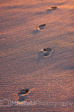 Running Impression - Time Lapse-2596-footsteps